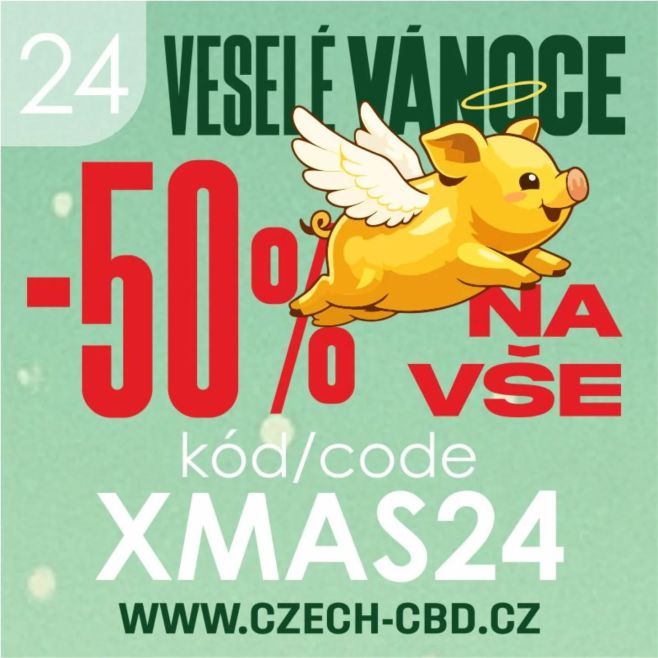 CZ /// 24.12.2025 🎄U nás se na zlaté prasátko nečeká až do večera 🐷 Vylétlo už teď z posledního okénka našeho adventního...
